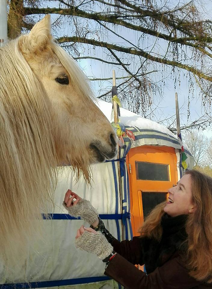coachen met paarden